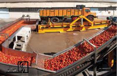 امکان‌سنجی -طرح توجیهی فنی اقتصادی- احداث واحد بسته‌بندی رب گوجه فرنگی در سلیمانیه عراق